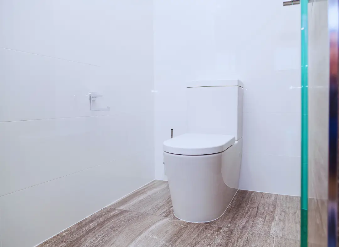 Remplacement de wc Valgelon-La Rochette